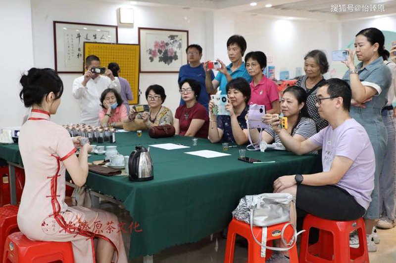 品鉴普洱茶的艺术:泡出醇厚滋味的技巧